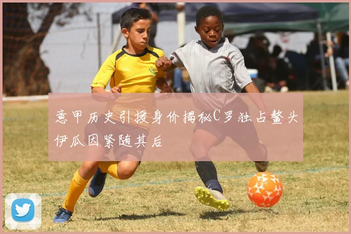 意甲历史引援身价揭秘C罗独占鳌头伊瓜因紧随其后